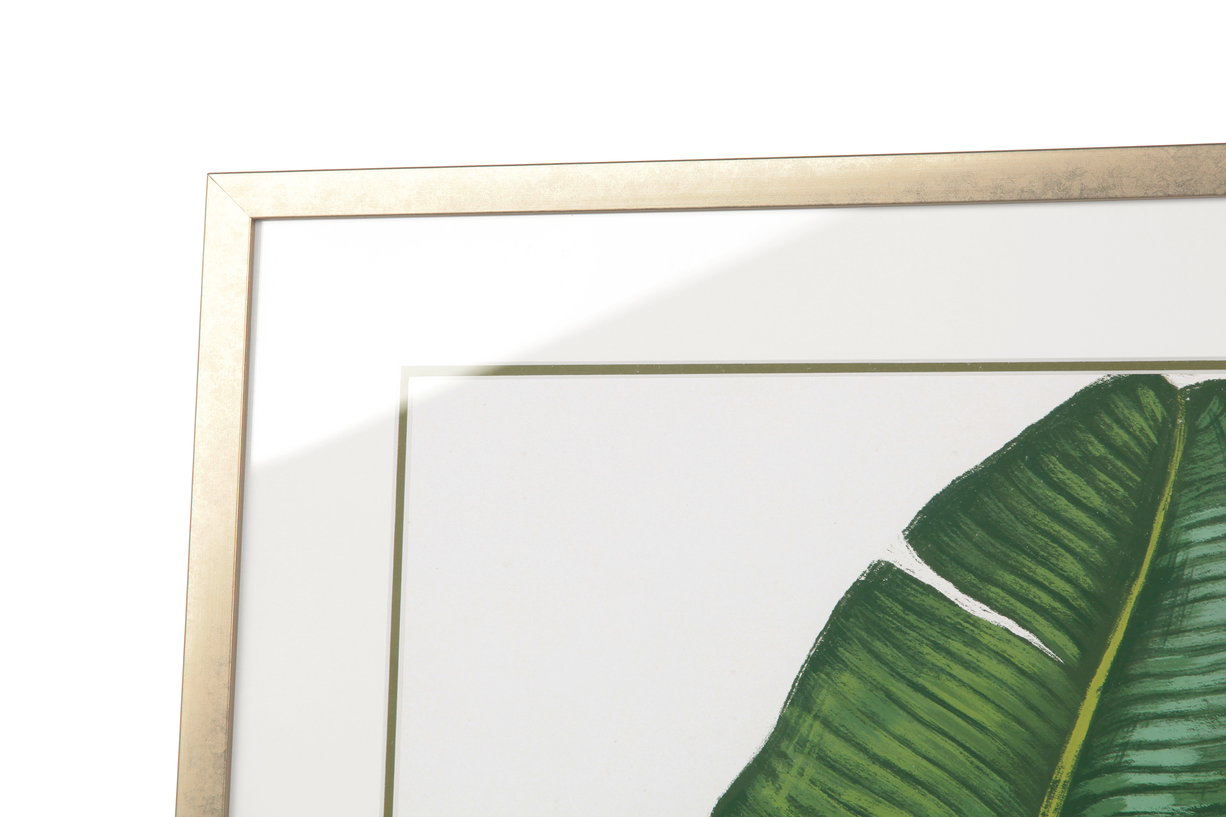 2000983162168 Постер Paradise COSMO RED  - Вид №2