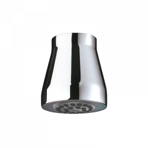 716000DP Душевая головка GYM DELABIE