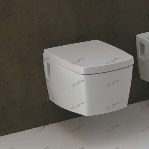 42319 Подвесной унитаз настенный Белый  X-Tre Италия Santreyd