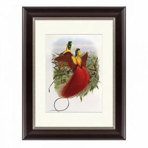 Литография на тонированной бумаге 45х35 см "Красные райские птицы, 1880г" КАРТИНЫ В КВАРТИРУ  093841 Бежевый;белый;красный;разноцветный