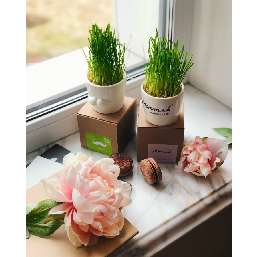 Набор для выращивания Eco мини-кашпо «Усы» ЭКОЧЕЛОВЕКИ MIN102 - Вид №9