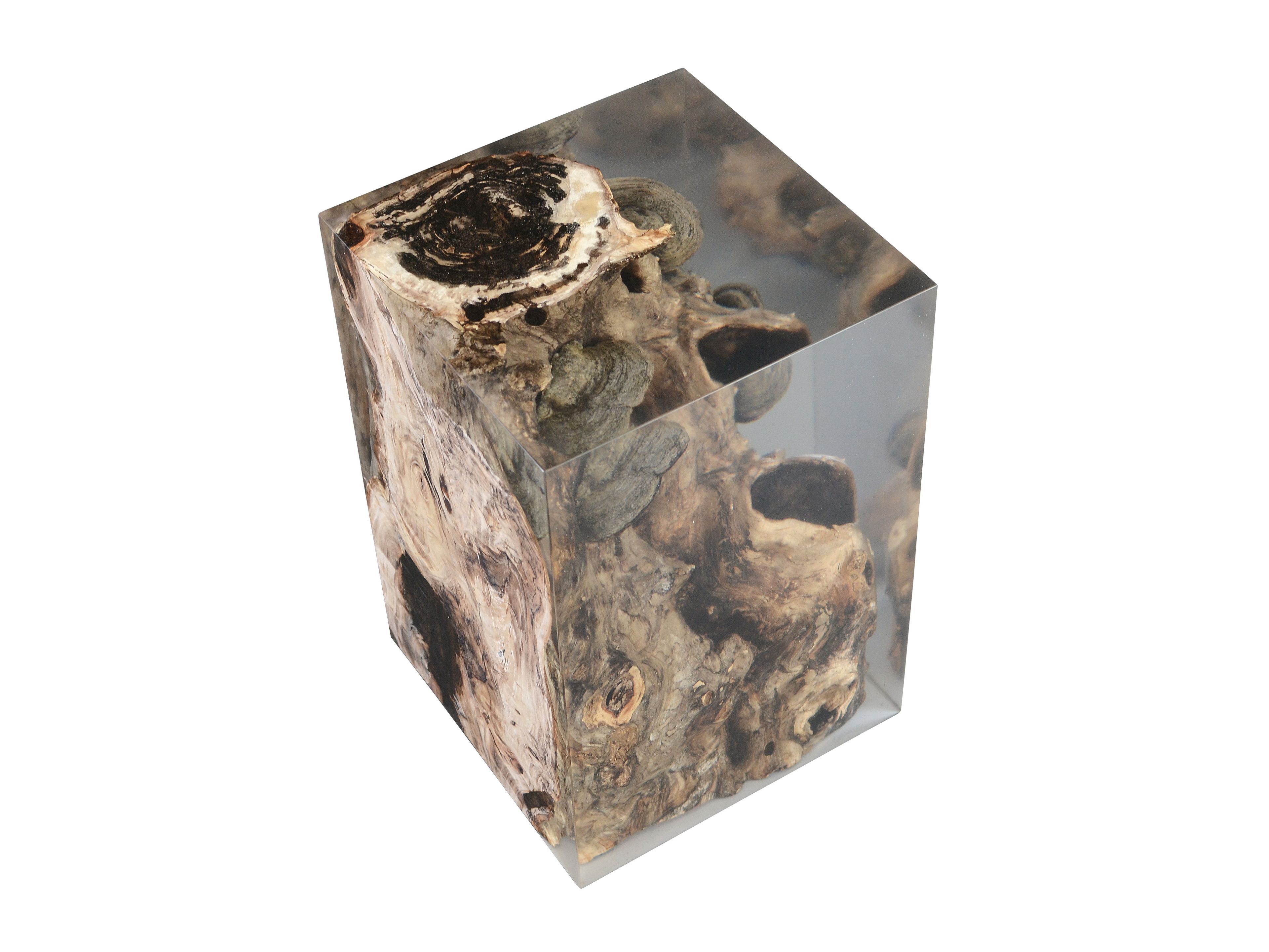 Табурет / журнальный столик alcarol Fungi ARCH-00131901 - Вид №10