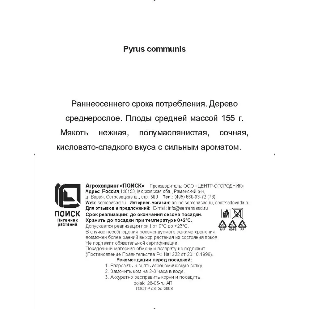 Груша обыкновенная Ириста h200 см Поиск Инвест 84399298 STLM-2084026 Santreyd  - Вид №2