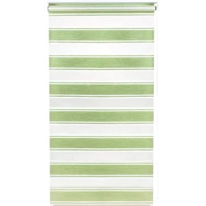 Штора рулонная день-ночь Дэли 160x175 см салатовая