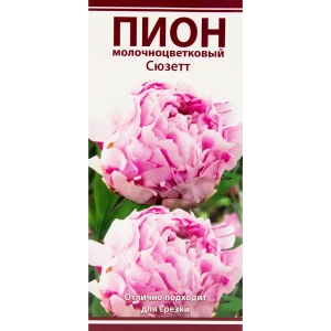 Пион молочноцветковый «Сюзетт», размер луковицы I 82319611 STLM-2092191