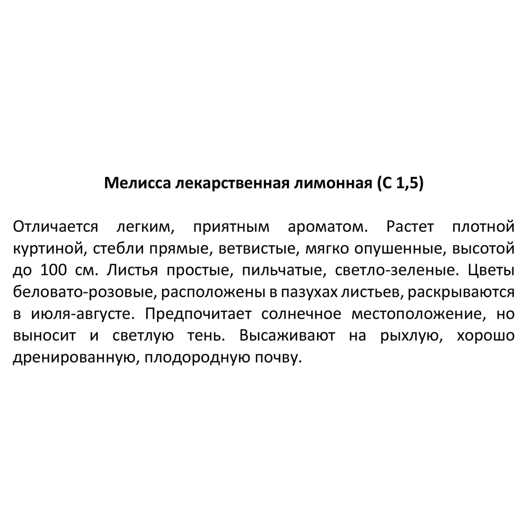 81968598 Мелисса лекарственная, контейнер 1.5 л Santreyd  - Вид №2