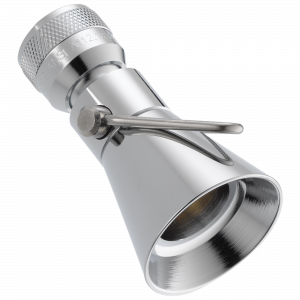 Металлическая душевая лейка Fundamentals ™ с 2 настройками