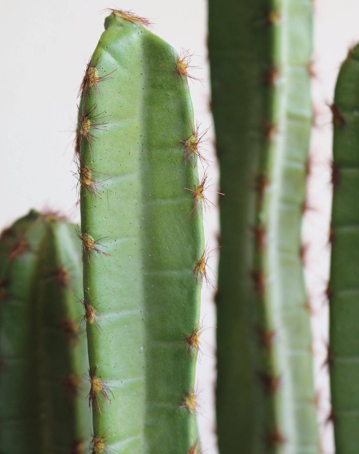 6028 883 a3 Искусственный столбик кактус, в горшке, 160 см, зеленый H-andreas  - Вид №2