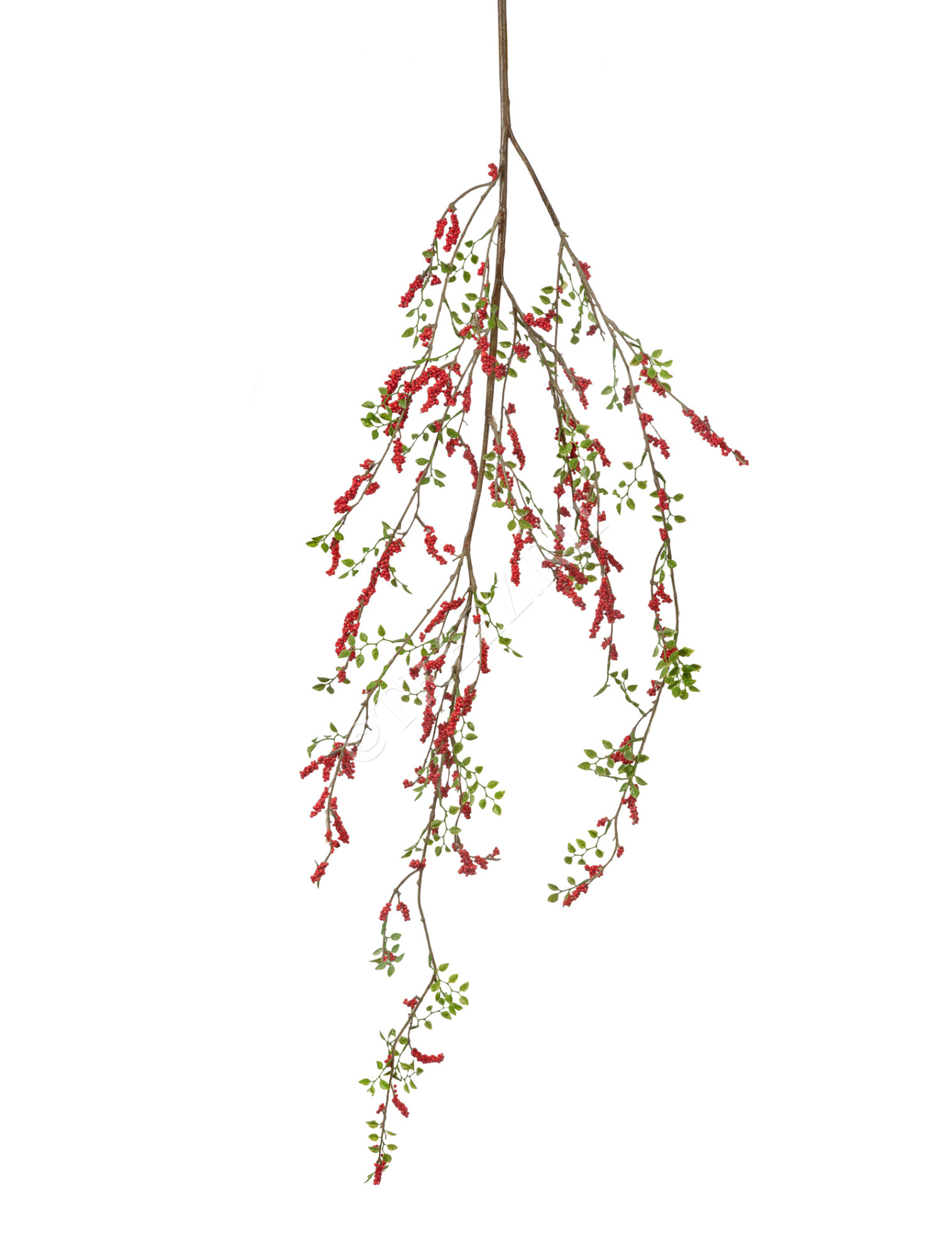 30.0110003 Красные ягоды на ветке Цветочная коллекция 