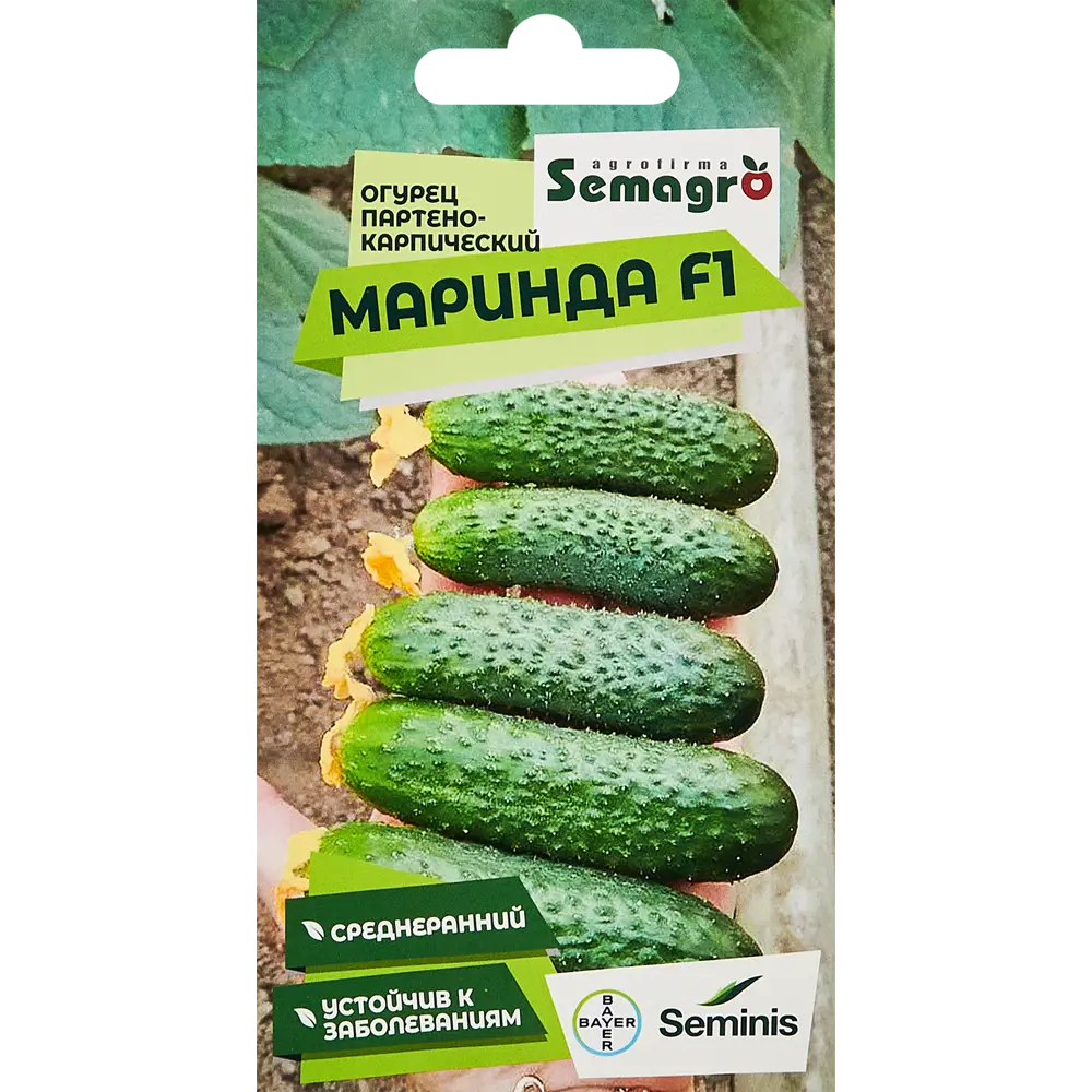 Santreyd Семена огурца Маринда F1 - партенокарпический гибрид для богатого урожая 89347273 STLM-0966696
