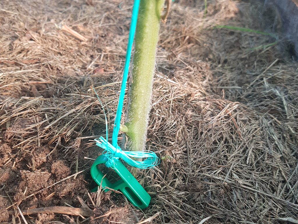 Колышки для огорода, высота 140 мм, 10 шт ГеоПластБорд GPBST-195 - Вид №4