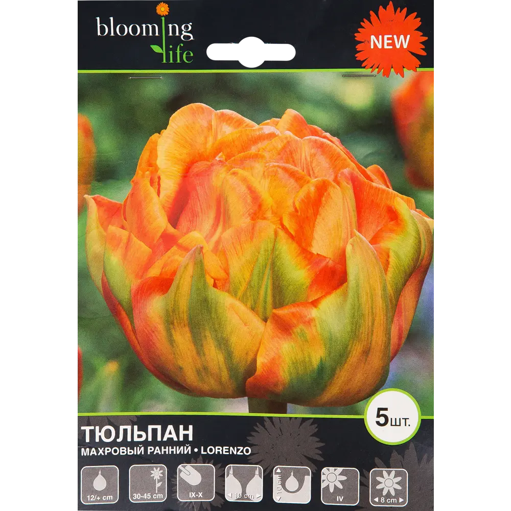 Тюльпан «Лоренцо» размер луковицы 12, 5 шт. 82665843 STLM-2044991 BLOOMING LIFE 
