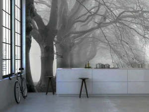 Creativespace Моющиеся флизелиновые обои с пейзажами Wallpaper 2016