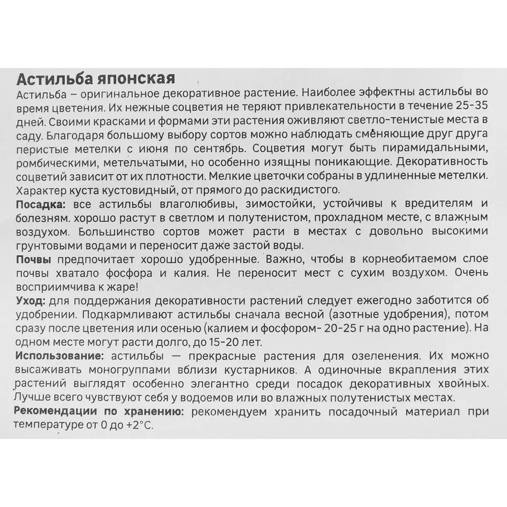 Астильба Geolia японская Везувий 86408610 STLM-2089596  - Вид №2