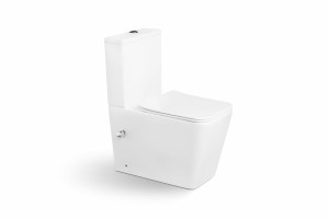 Унитазы-компакт SL-5017SM-BD SANTILINE