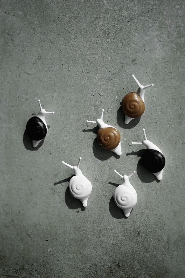 QL10289-MX Магниты snail, 6 шт. Qualy  - Вид №3