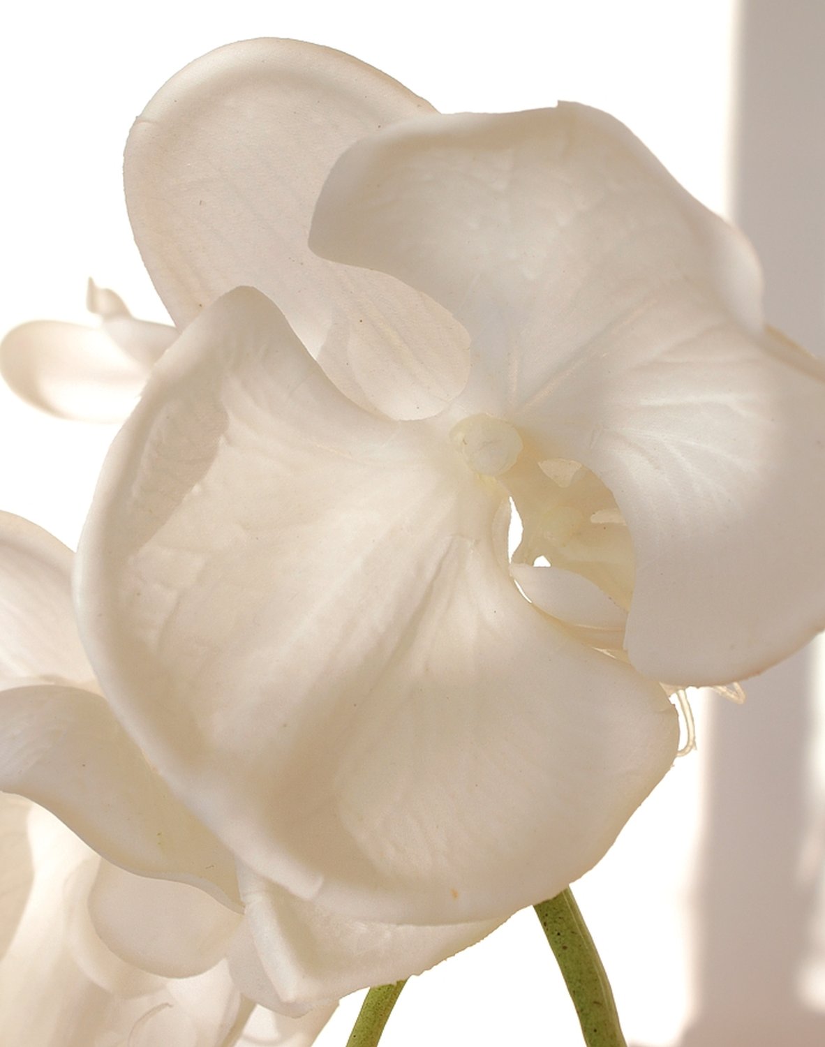 2407 700 a3 Искусственная орхидея Phalaenopsis, 114 см, real touch, чисто-белая H-andreas  - Вид №1