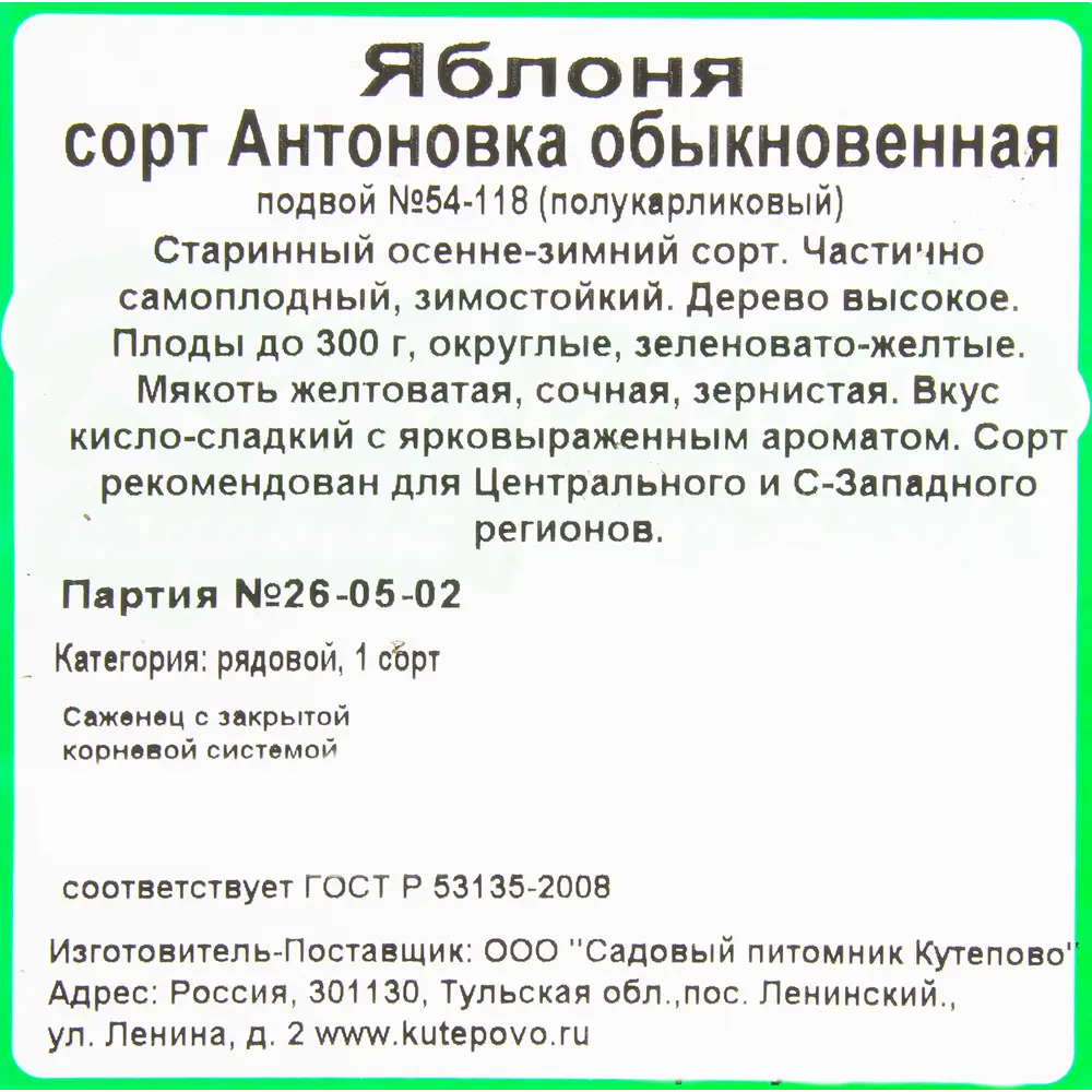 Яблоня «Антоновка обыкновенная» 4 л 18654643 STLM-2036676 Santreyd  - Вид №1