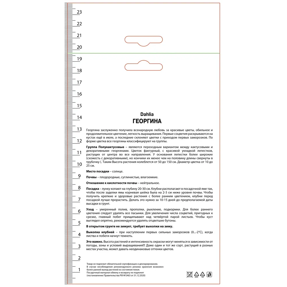 Георгина полукактусовая Электрик Флеш ПОИСК STLM-2099347 - Вид №1