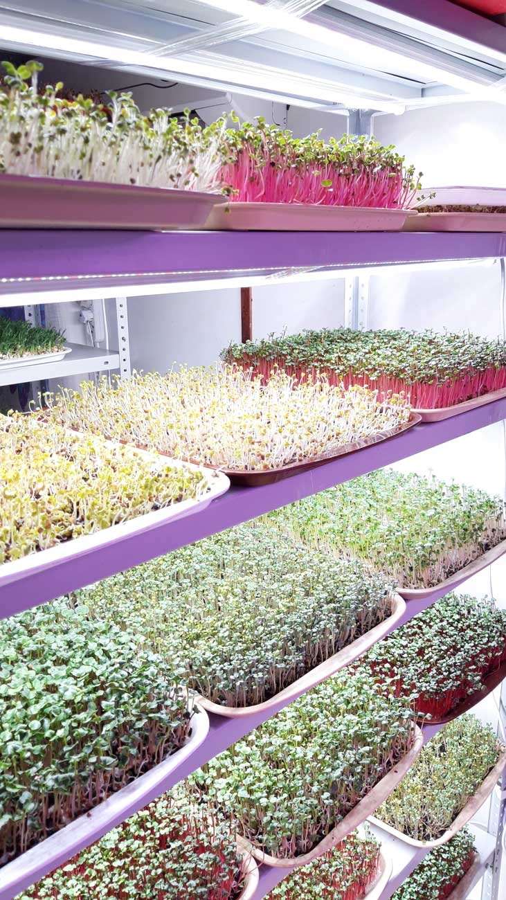 1037 Фитолампа для растений линейная VA-3 90 см Фулл комфорт 4000+660 LAB.Space  - Вид №8