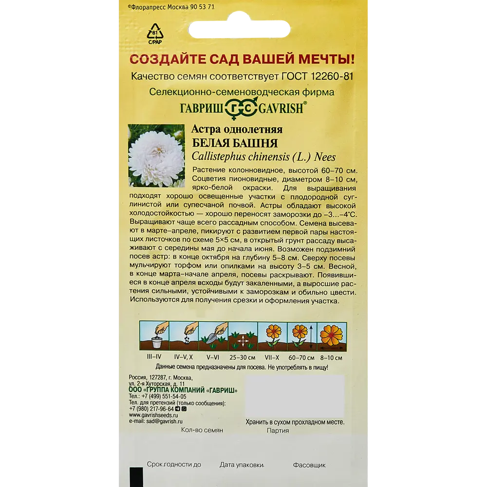 Santreyd Астра Белая Башня - пионовидные соцветия для сада 89344836 STLM-0951222 - Вид №1