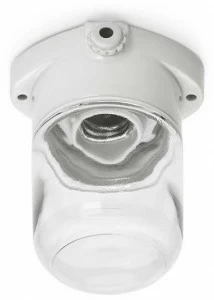 THPG Стеклянный потолочный светильник  139629