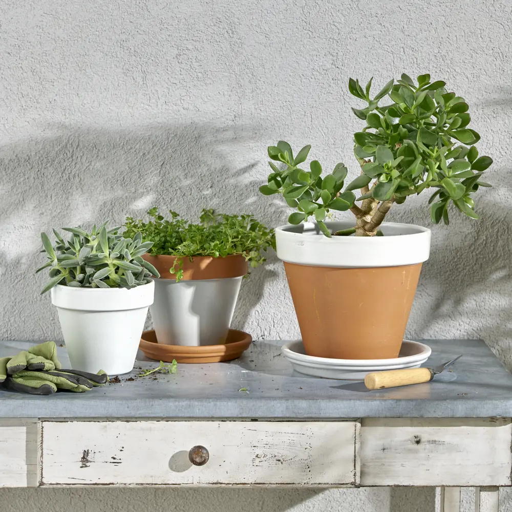 Аэрозольная эмаль Luxens для интерьера и экстерьера - белый полуматовый 210 мл 83237399 STLM-0039754 - Вид №3