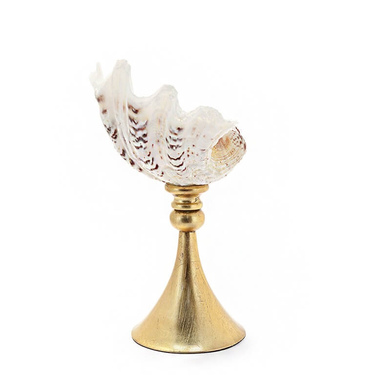 600580-90 ABHIKA СТЕНД KRIZIA TRIDACNE BLACK  - Вид №1