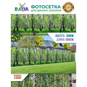 90604063 Фотосетка Рада FTSRADA038B для декора заборов Березовая роща 158x600 см STLM-0949285