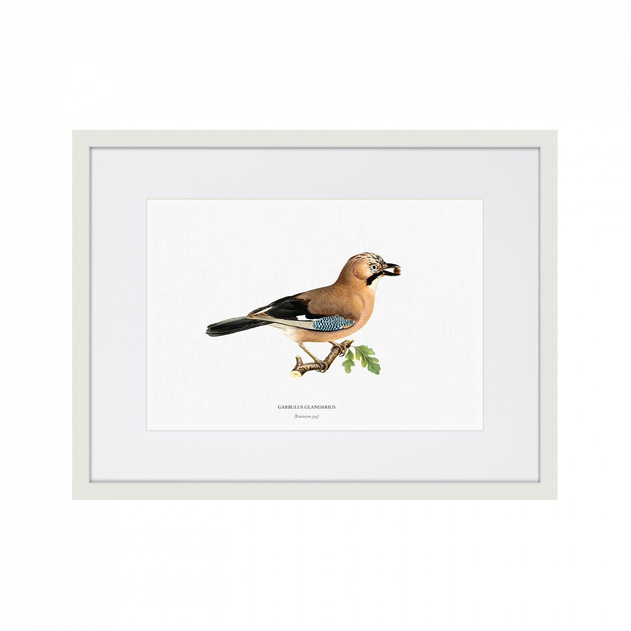 Картина белая 42х32 см Tiny Birds I, 1851г. КАРТИНЫ В КВАРТИРУ  00-3894708 Белый  - Вид №1