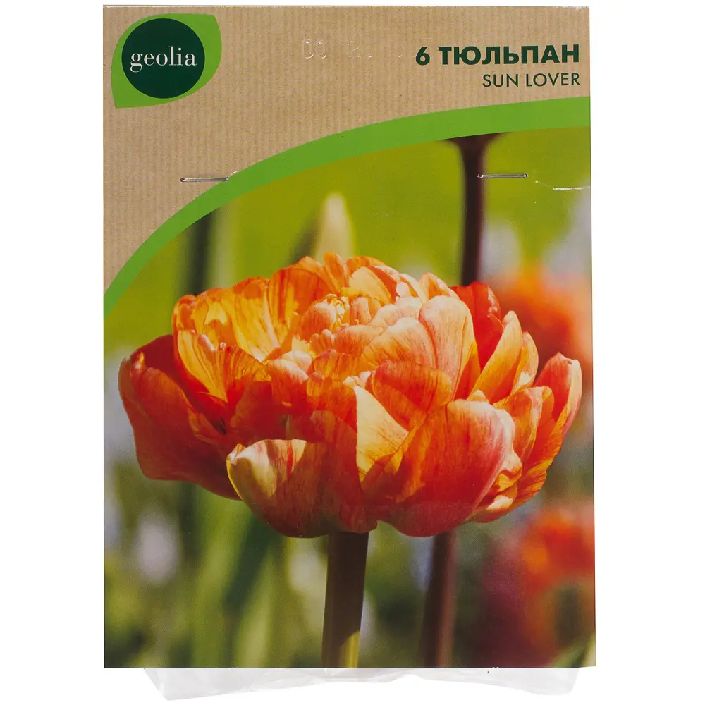 Тюльпан Sunlover GEOLIA (6 шт/36) STLM-2168673 - Вид №1