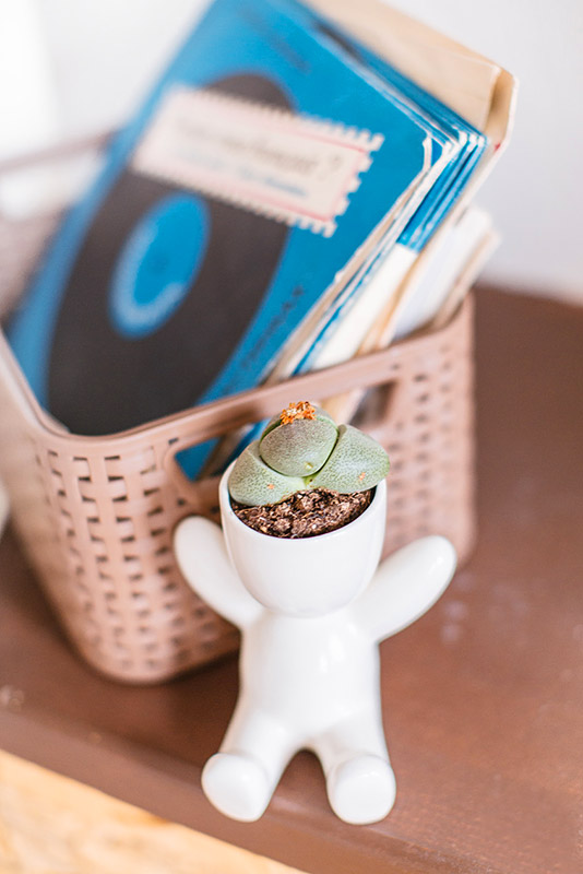 Набор для выращивания Eco Малыш ЭКОЧЕЛОВЕКИ 1002 - Вид №2