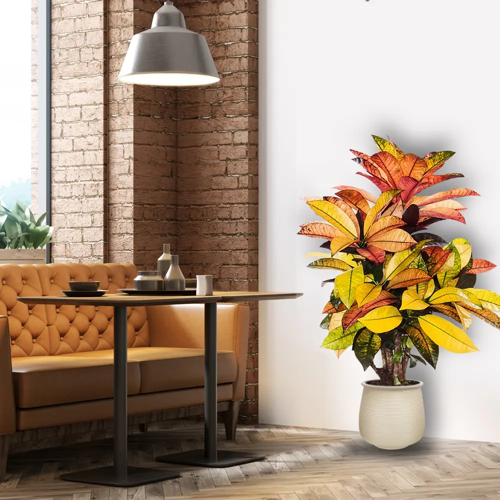 Santreyd Венера — керамический горшок для цветов с поддоном 83432941 STLM-0041342 - Вид №1