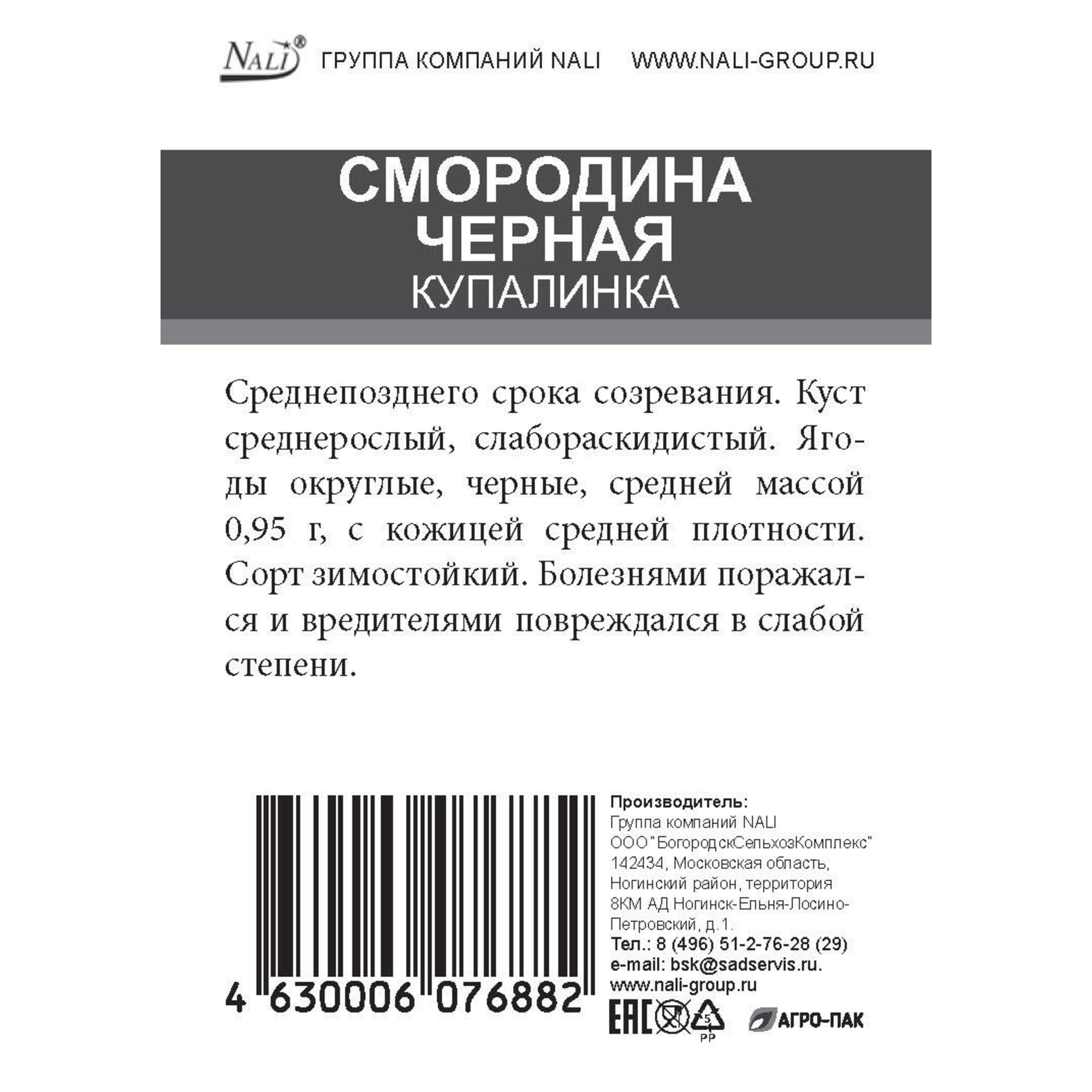 85670472 Смородина черная Купалинка ø15 h50 см Santreyd 