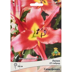 Лилия от-гибрид Сатисфекшн 85205722 STLM-2102815