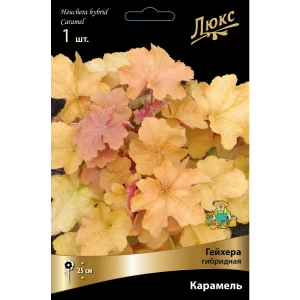 Гейхера гибридная Карамель луковица I 83599248 STLM-2125122