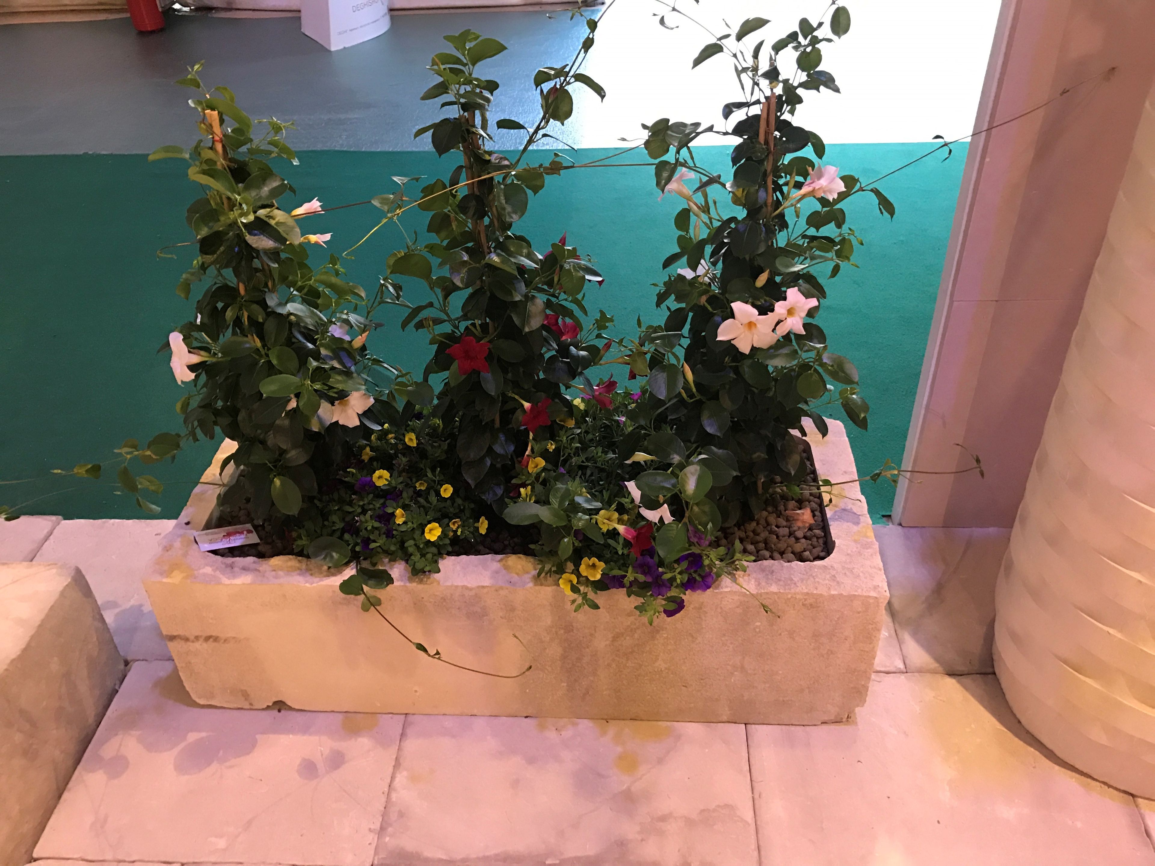 Прямоугольная плантатор из камня Лечче PIMAR Fioriera per spazi pubblici rettangolare ARCH-00140395 - Вид №1