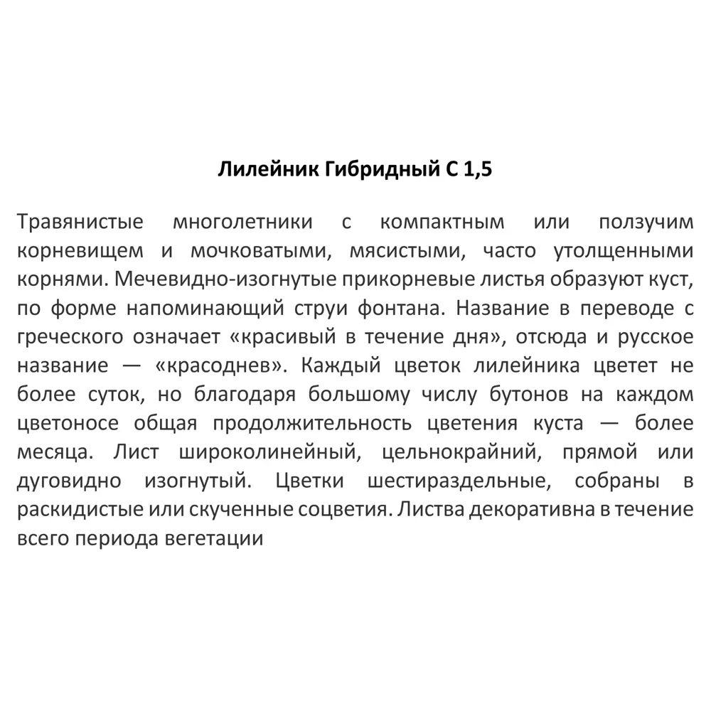 Santreyd Лилейник многолетний - яркий фонтан красок в вашем саду 82741501 STLM-0035252 - Вид №3