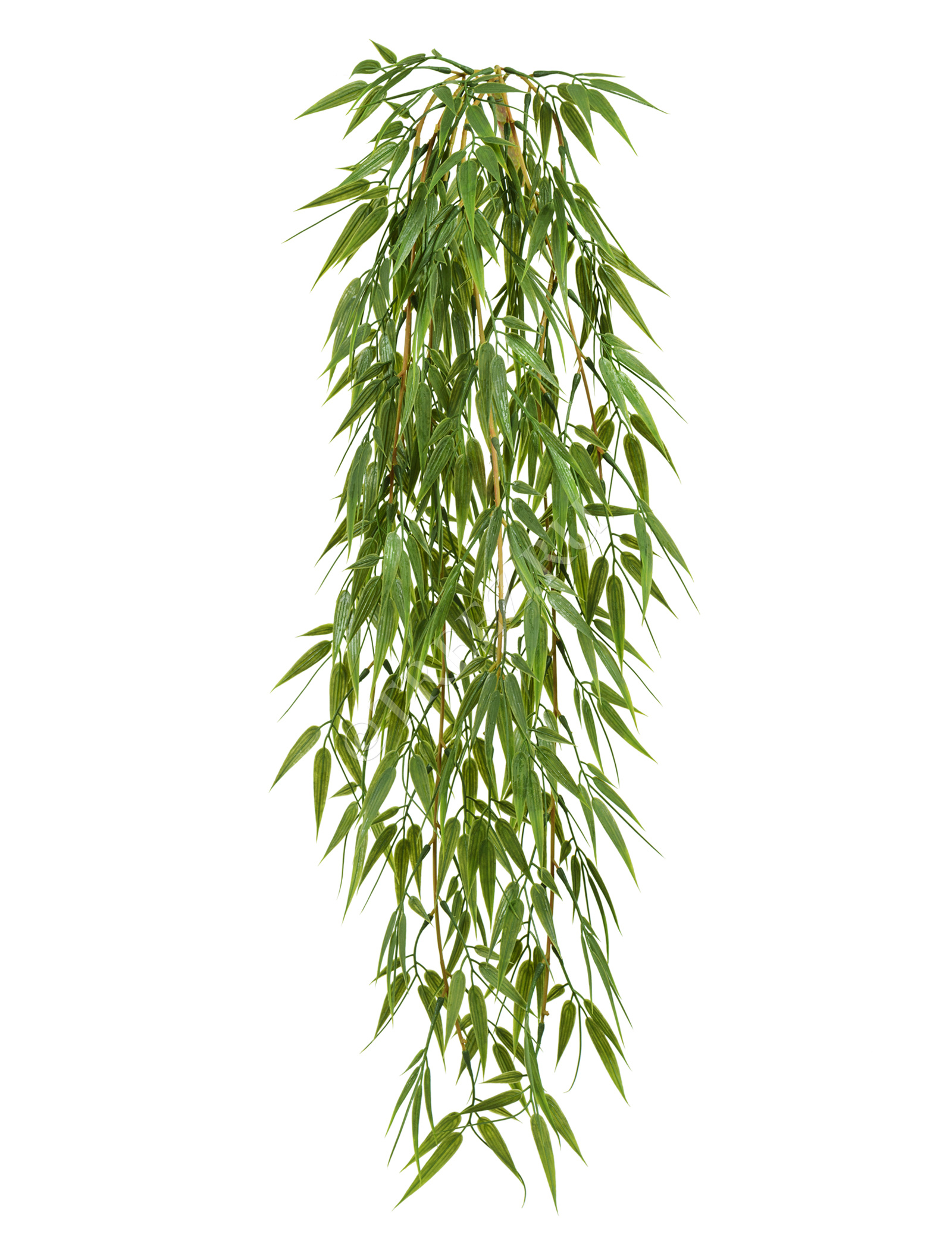 20.1415N Бамбук ампельный Цветочная коллекция  - Вид №1