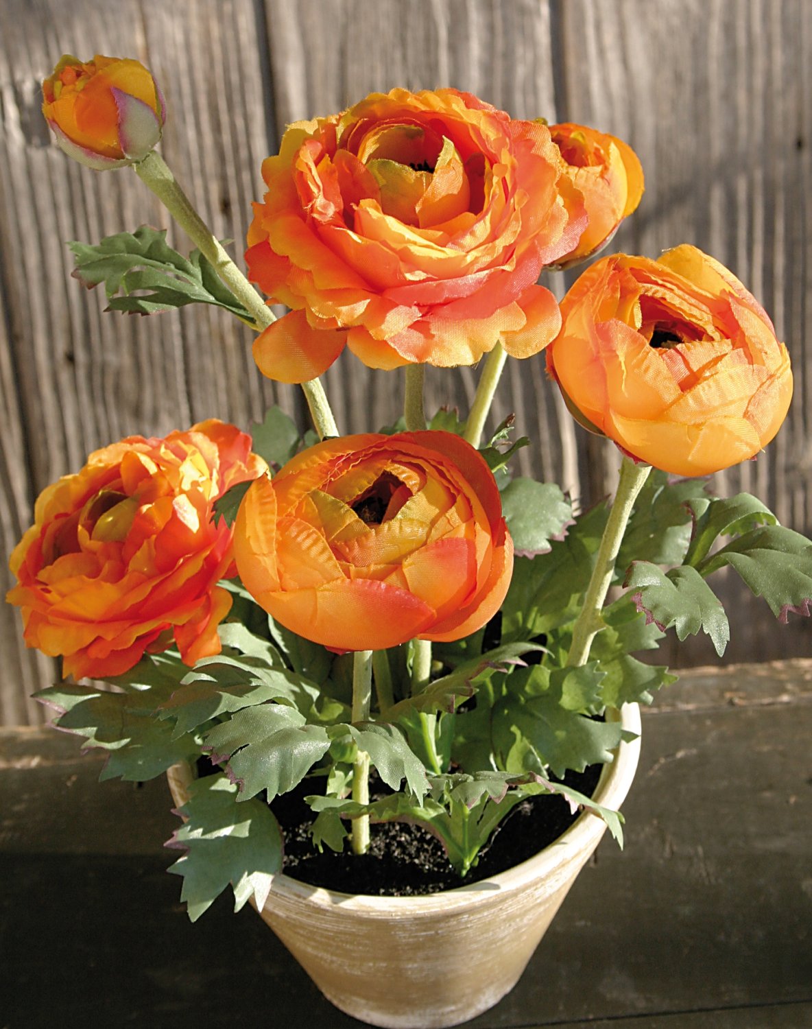 4604 334 a2 Лютик искусственный, горшечный, 6-кратный, 29 см, оранжевый H-andreas  - Вид №1