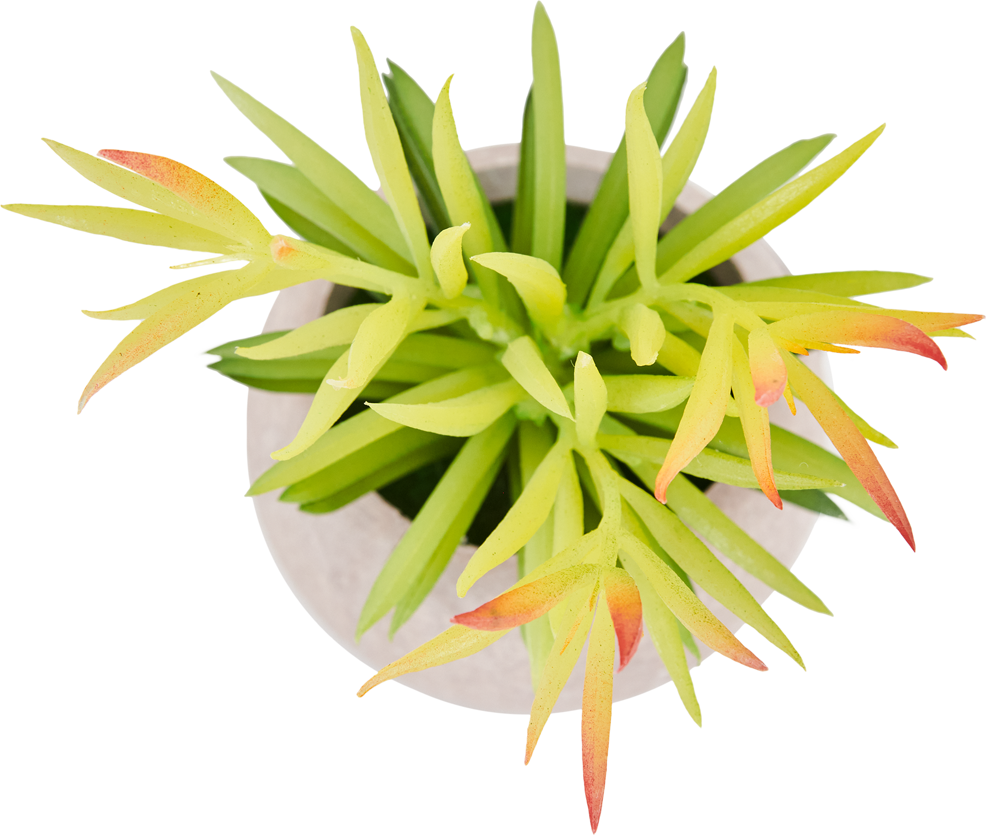 85826021 Искусственное растение Бильбергия h17 см STLM-0065543 Santreyd  - Вид №1