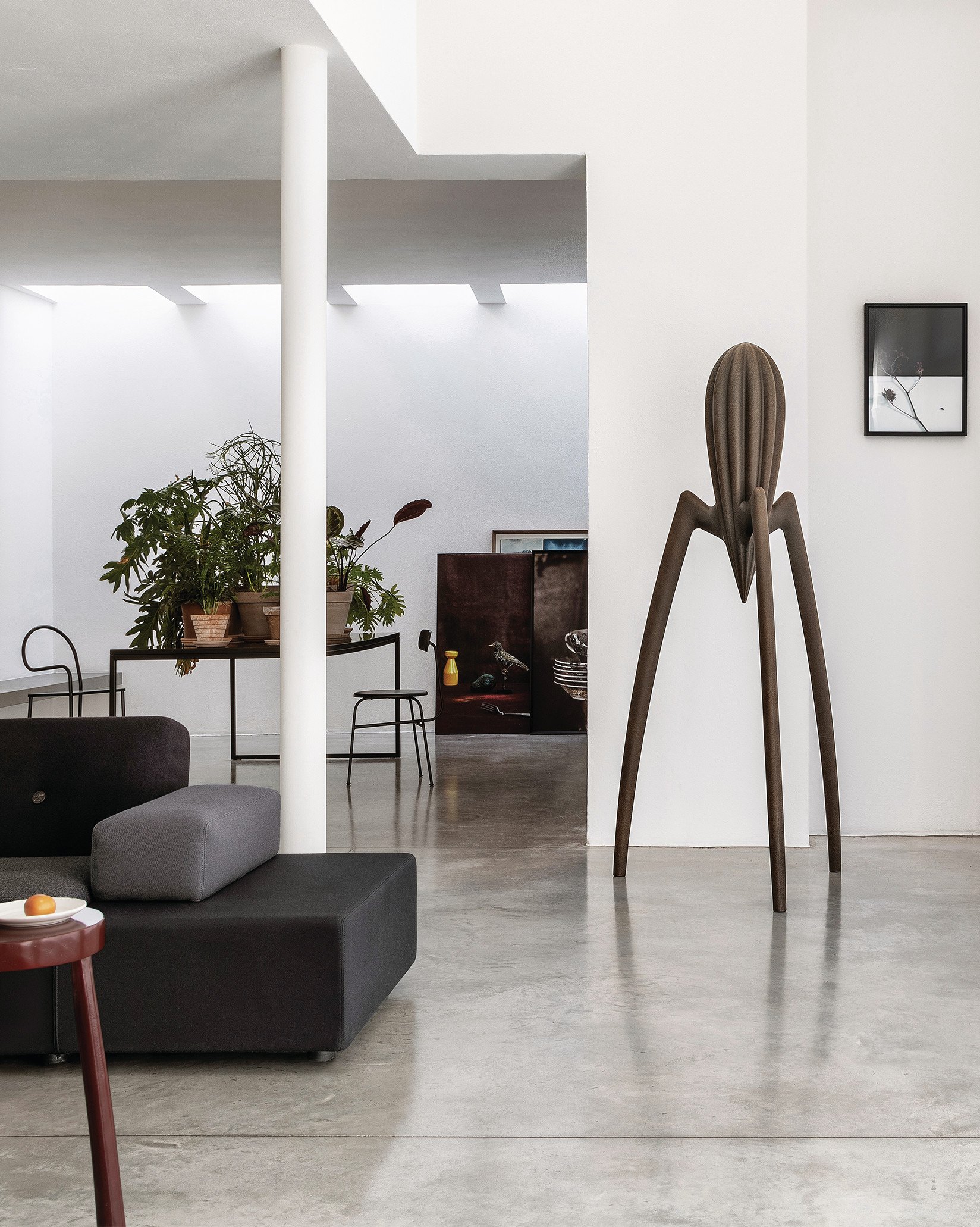 Алесси Джуси Салиф XXL Alessi sun-id-2551850 - Вид №1