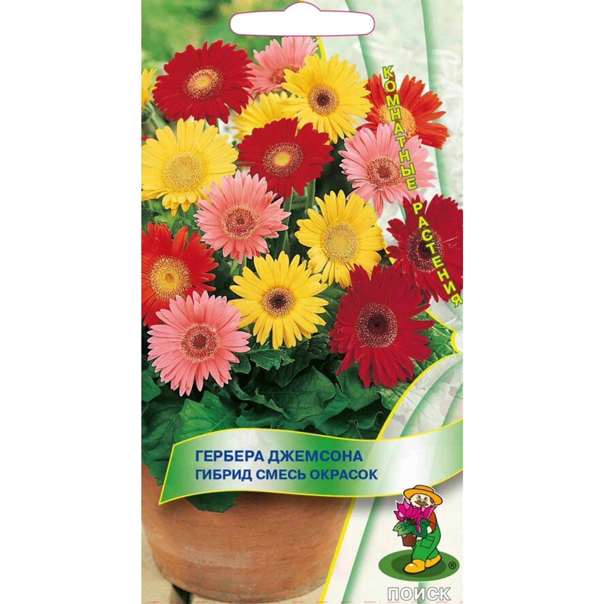 82984195 Семена Гербера «Джемсона Гибрид» смесь окрасок Santreyd 