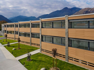 Деревянная панель фасада