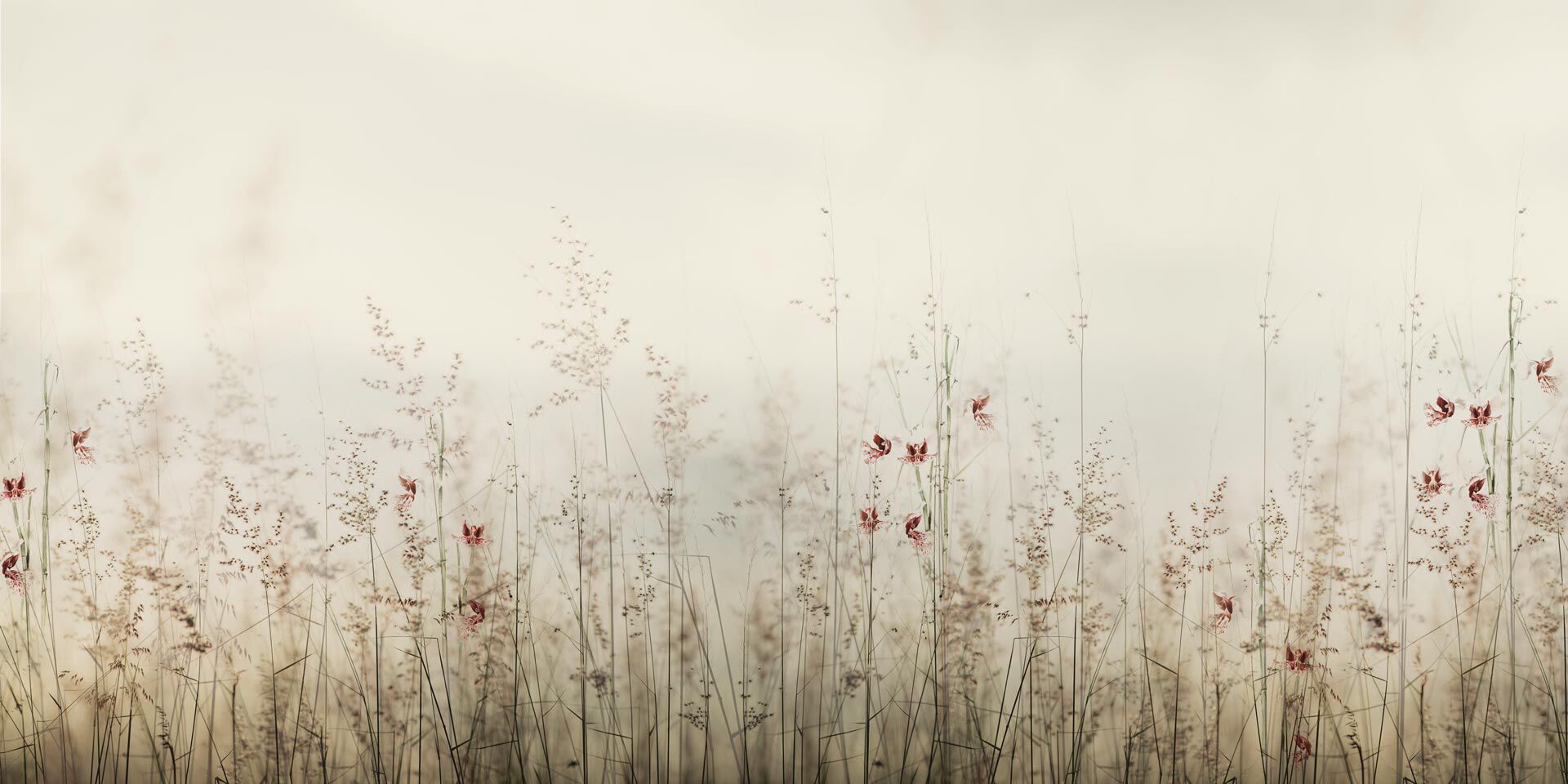 Обои с цветочным узором Rimura 2024 ARCH-00006180 - Вид №1