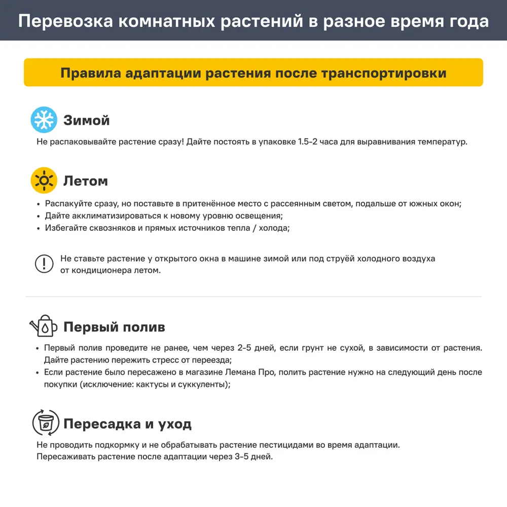 Антуриум Эскудо ø12 h35 см 89421937 STLM-2088500 Santreyd  - Вид №7
