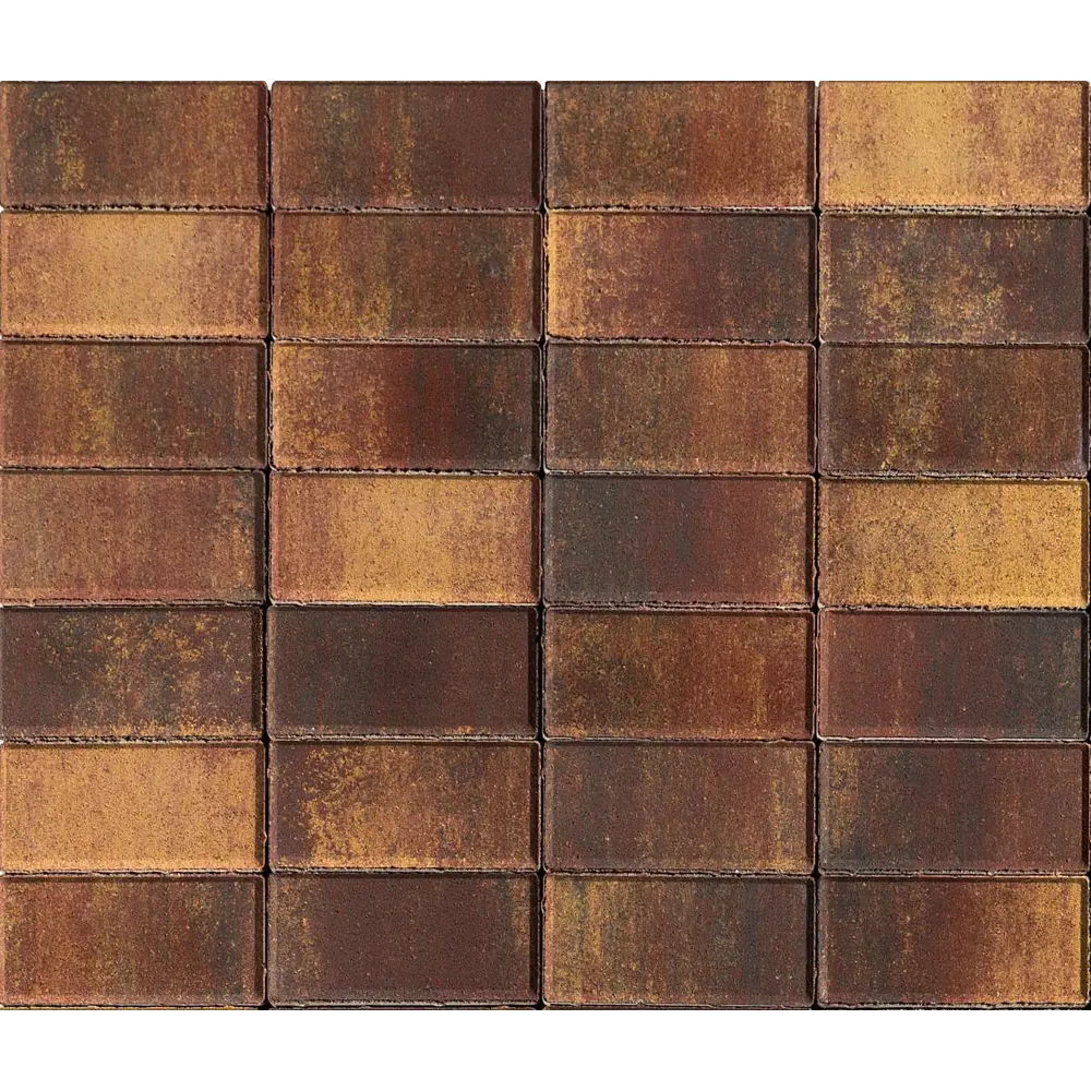 BRAER Плитка тротуарная Мальва 200x100 мм - яркий акцент для садовых дорожек 82770033 STLM-0035753 - Вид №3