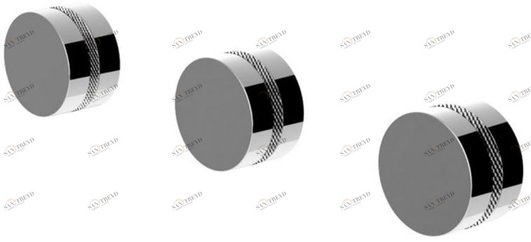 Rubinetteria Giulini Встраиваемый смеситель для душа с переключателем Deluxe - myring Fmr0115w2dl