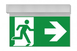 DST-1634 Ikus 320-b Daisalux Светильники сигнальные Серебристо-Серый