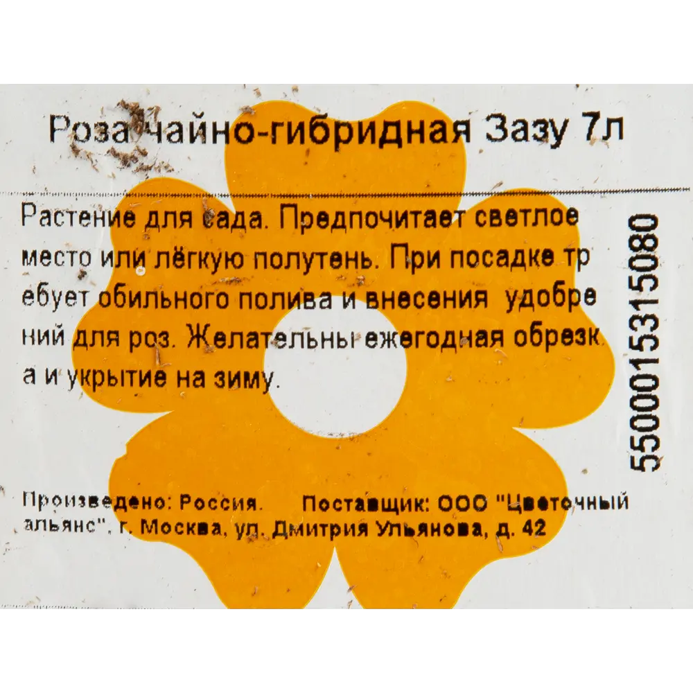 Роза чайно-гибридная «Зазу» 23x40 см 82601790 STLM-2106806 Santreyd  - Вид №2
